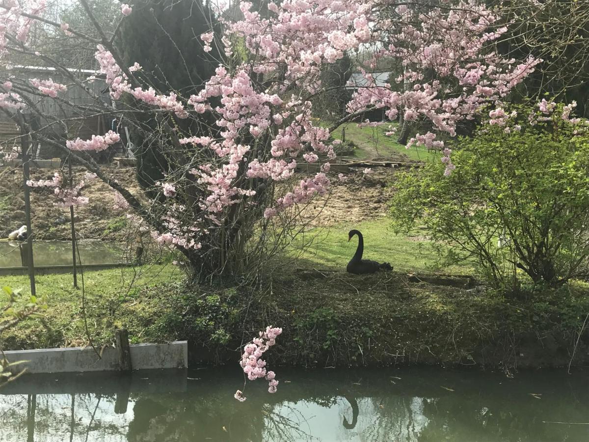 Le Moulin Calme Bed & Breakfast Luceau Luaran gambar